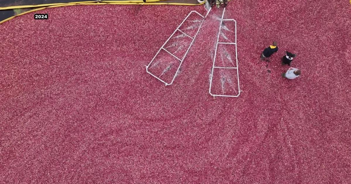 Wisconsin Cranberry Board election results certified