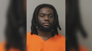 Suspect Sought in Oktoberfest Stabbing Incident