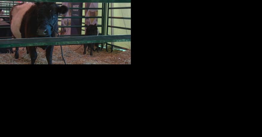Farm Technology Days underway in Baraboo - Vimarsana News