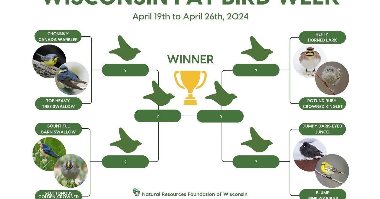The next April voting session: the first Wisconsin Fat Bird Week - Vimarsana News