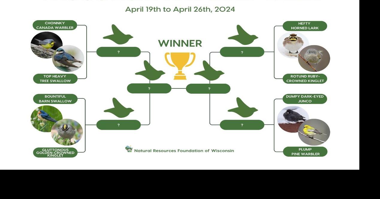 The next April voting session: the first annual Wisconsin Fat Bird Week