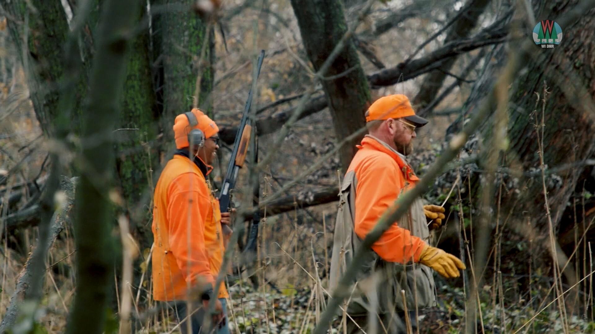 Wisconsin's Beloved Nine-day Gun Deer Season Is Set To Begin Saturday ...