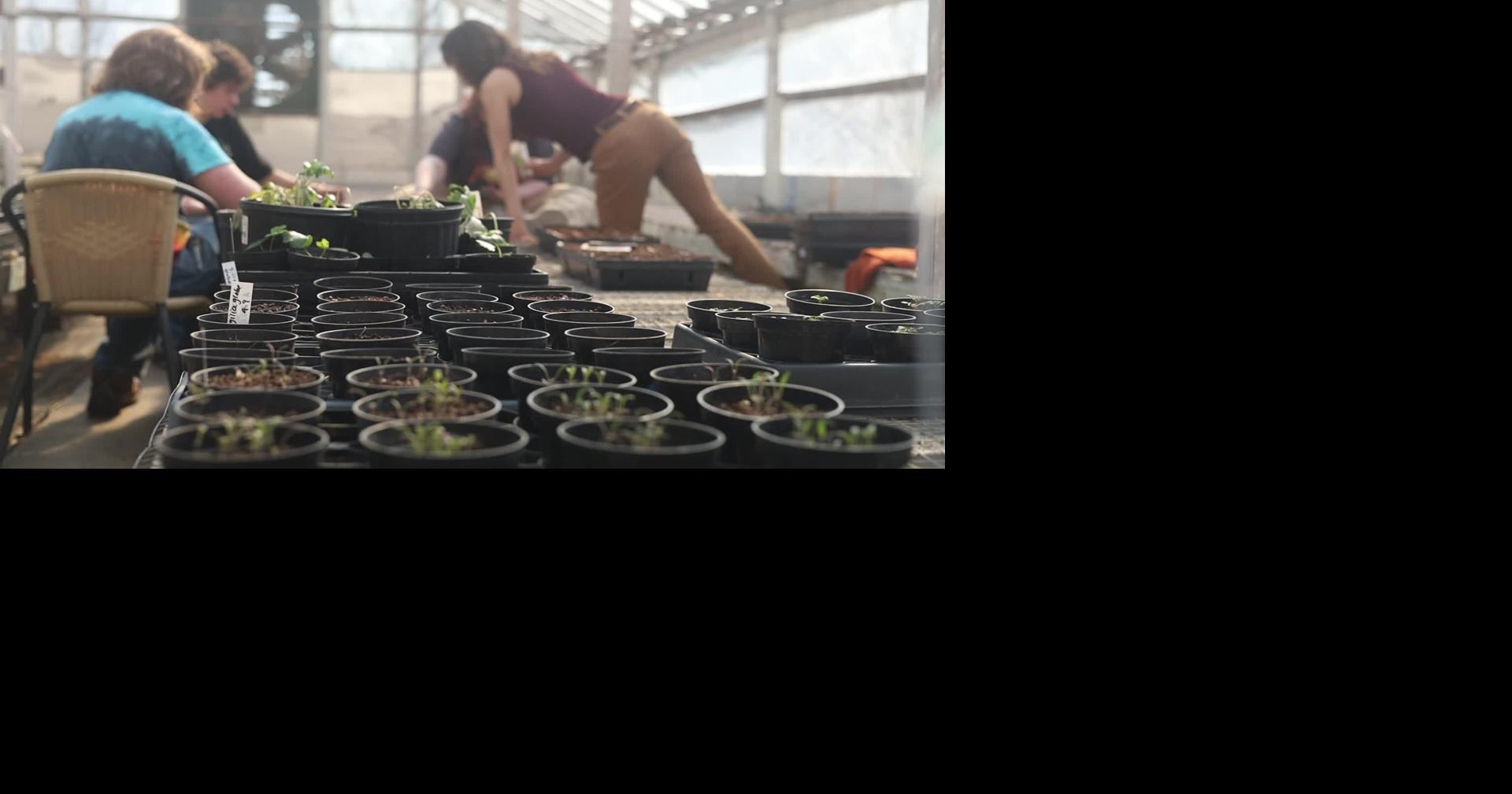 Wisconsin’s first micro-college offers hands-on alternative to traditional higher education in Viroqua