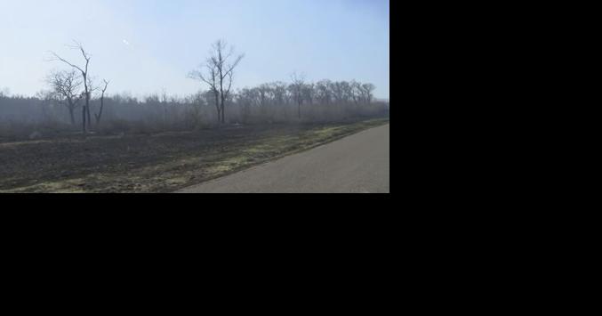 Arcadia Fire Update: 99 percent contained; roads open again - Vimarsana News