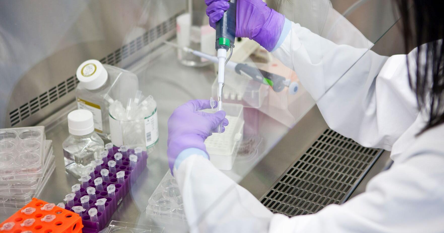 Drug shortages' effects on cancer research may be felt for years to come | Health - Vimarsana News