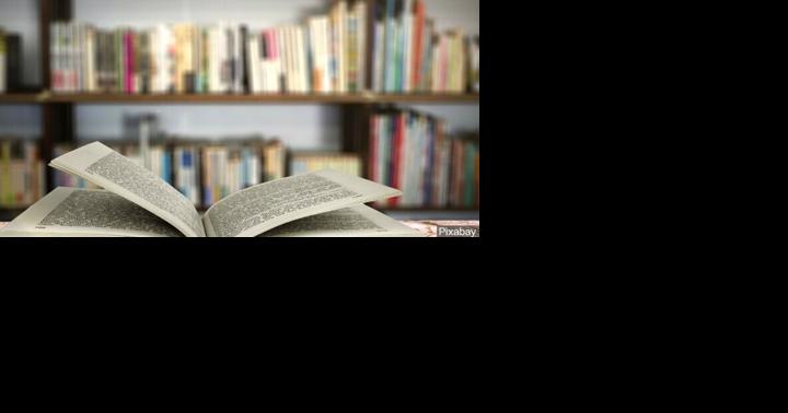 Federal Judge grants partial injunction on Iowa's book ban law - Vimarsana News