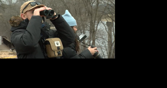 Wisconsin DNR hosts 38th annual 'Bald Eagle Watching Days' - Vimarsana News