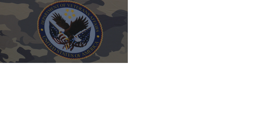 Learn about VA programs at Mini Fair - Vimarsana News