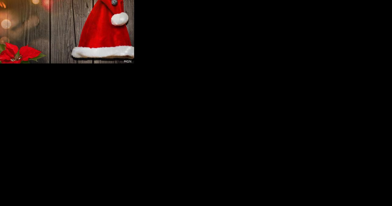 Medical Monday: Holiday plants to keep away from children, pets - Vimarsana News