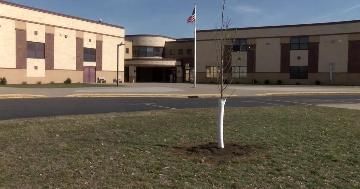 Tree planted in memory of Emerson Small | News | wxow.com