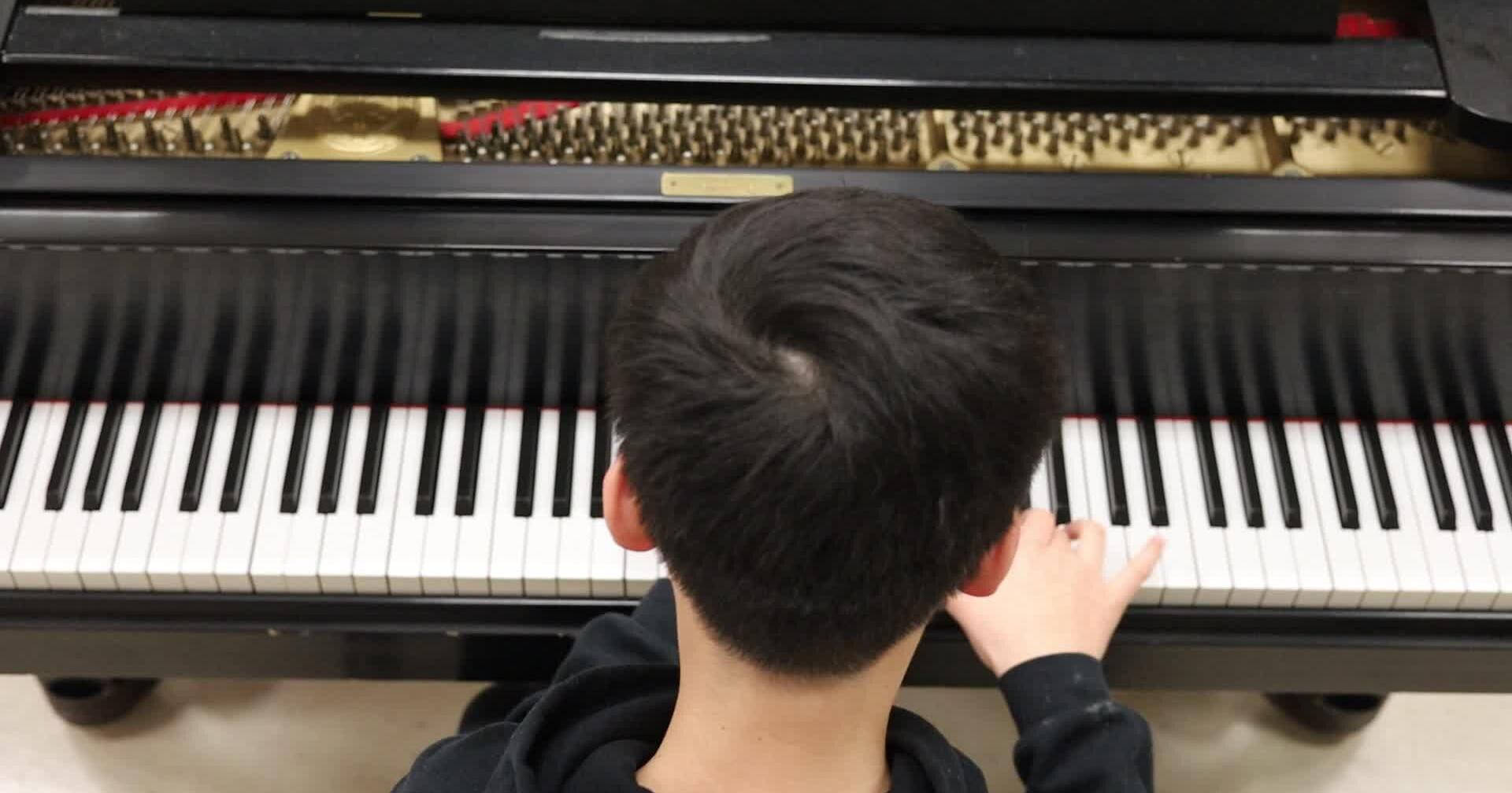 14-year-old La Crosse native wins the honors to perform with the La Crosse Symphony Orchestra - Vimarsana News