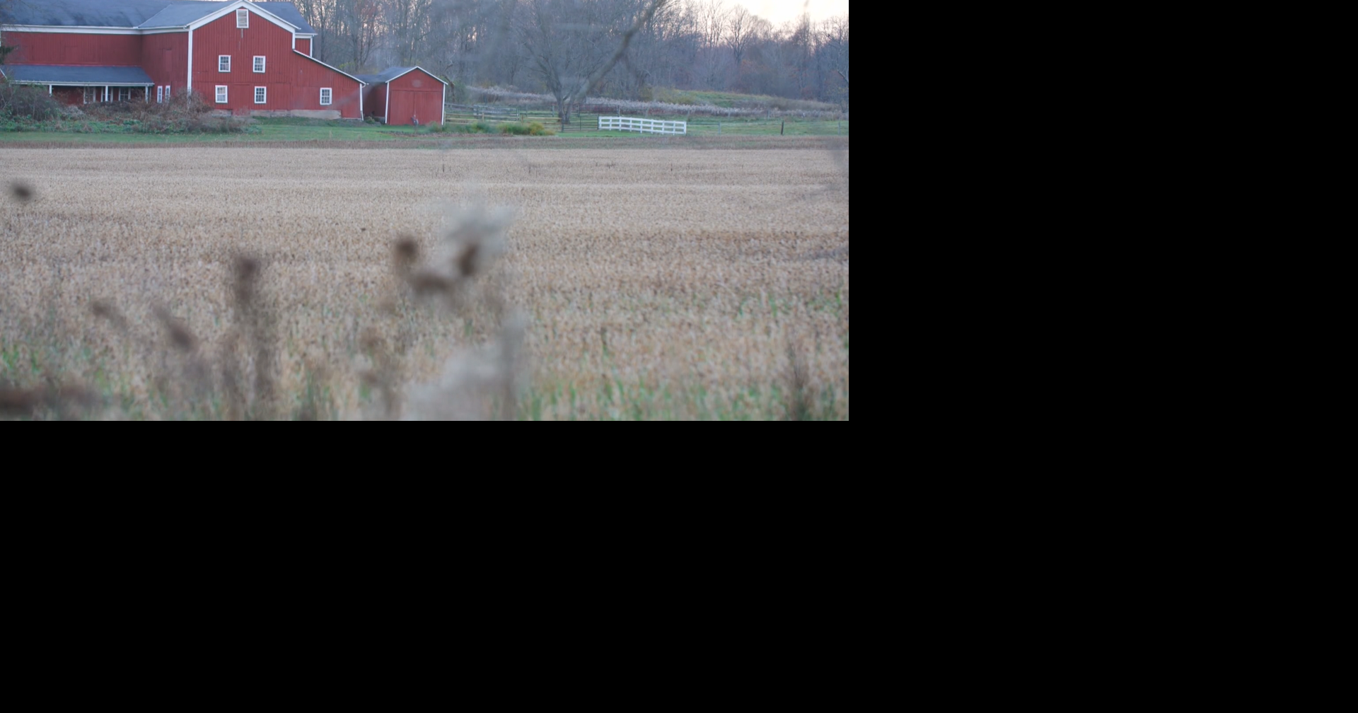Funding released to 49 farming groups to lead conservation and clean water efforts
