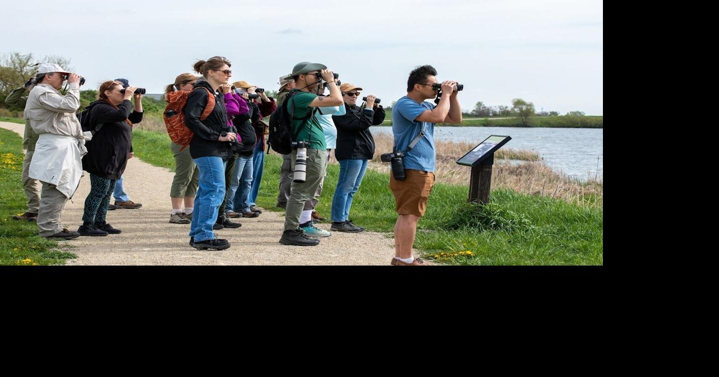 Great Wisconsin Birdathon returns to raise funds for conservation efforts