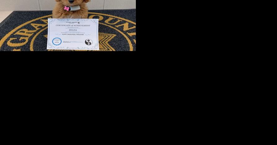 Grant County Sheriff's Office therapy K-9 completes puppy preschool - Vimarsana News