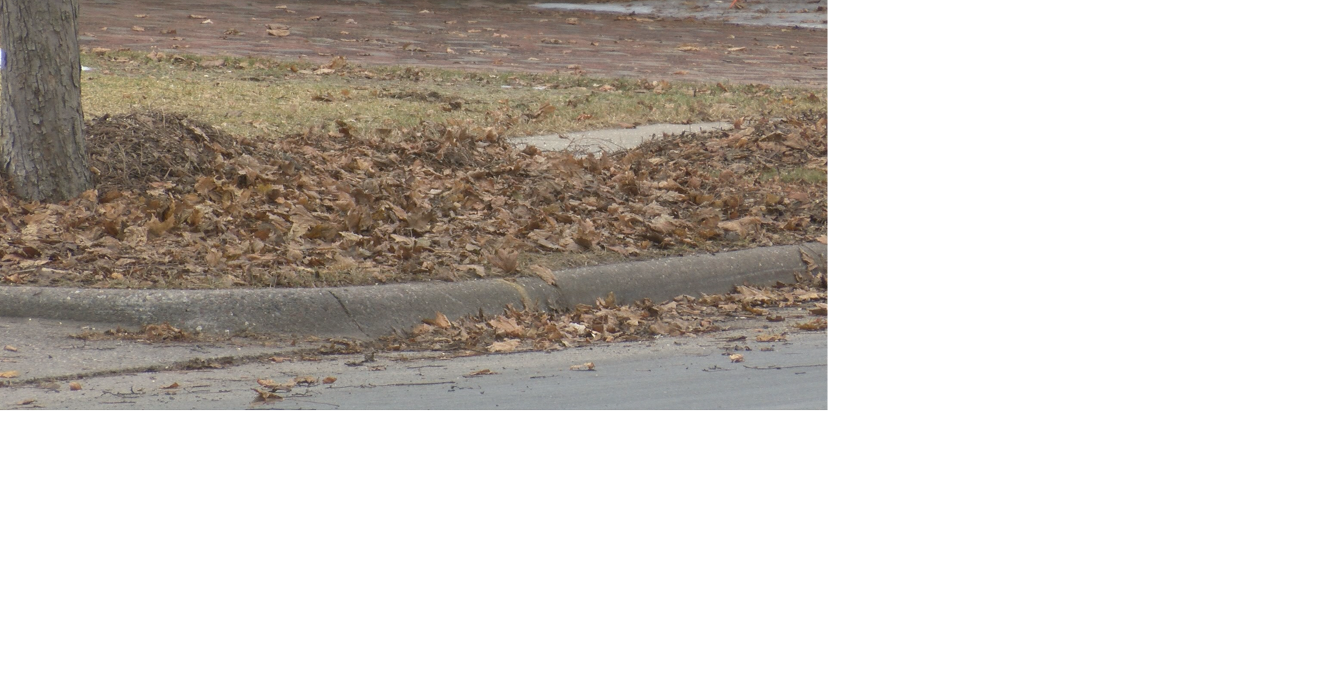 Early snowfall leads to pause in leaf collection in La Crosse | La ...