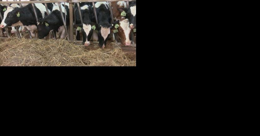 'You are very much in demand for everything you do': Guidebook helps farmers start a new chapter in life - Vimarsana News