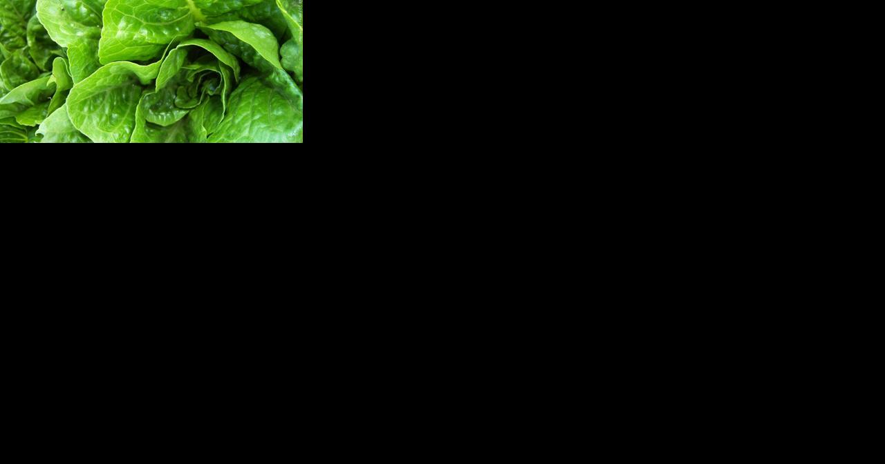 One Wisconsinite dies from Listeria outbreak linked to packaged salads - Vimarsana News