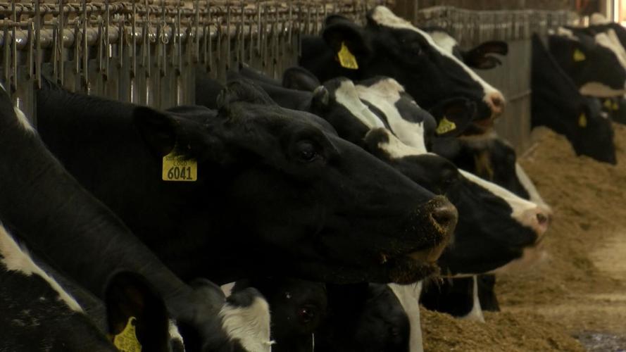 Monroe County Dairy Breakfast 2025