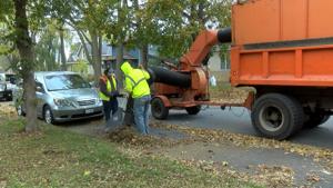 Leaf Collection in La Crosse Scheduled to Begin October 26