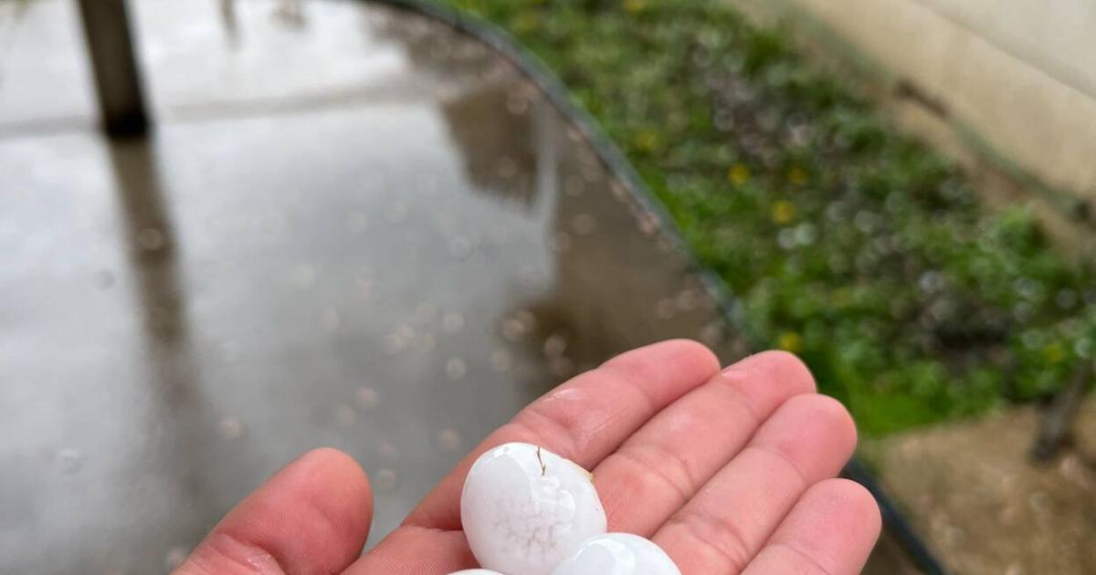 Little Hail WXOW area receives a little hail over Thursday afternoon | Coulee ...
