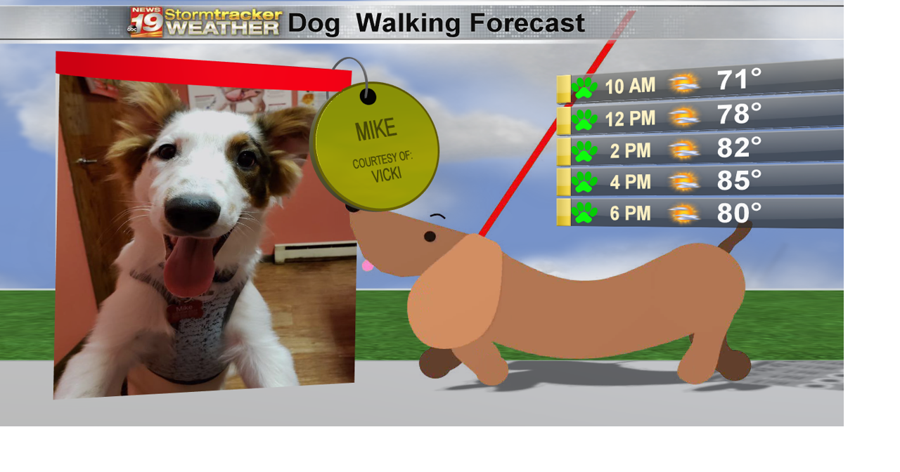 Summer makes a comeback | Weather Now | wxow.com