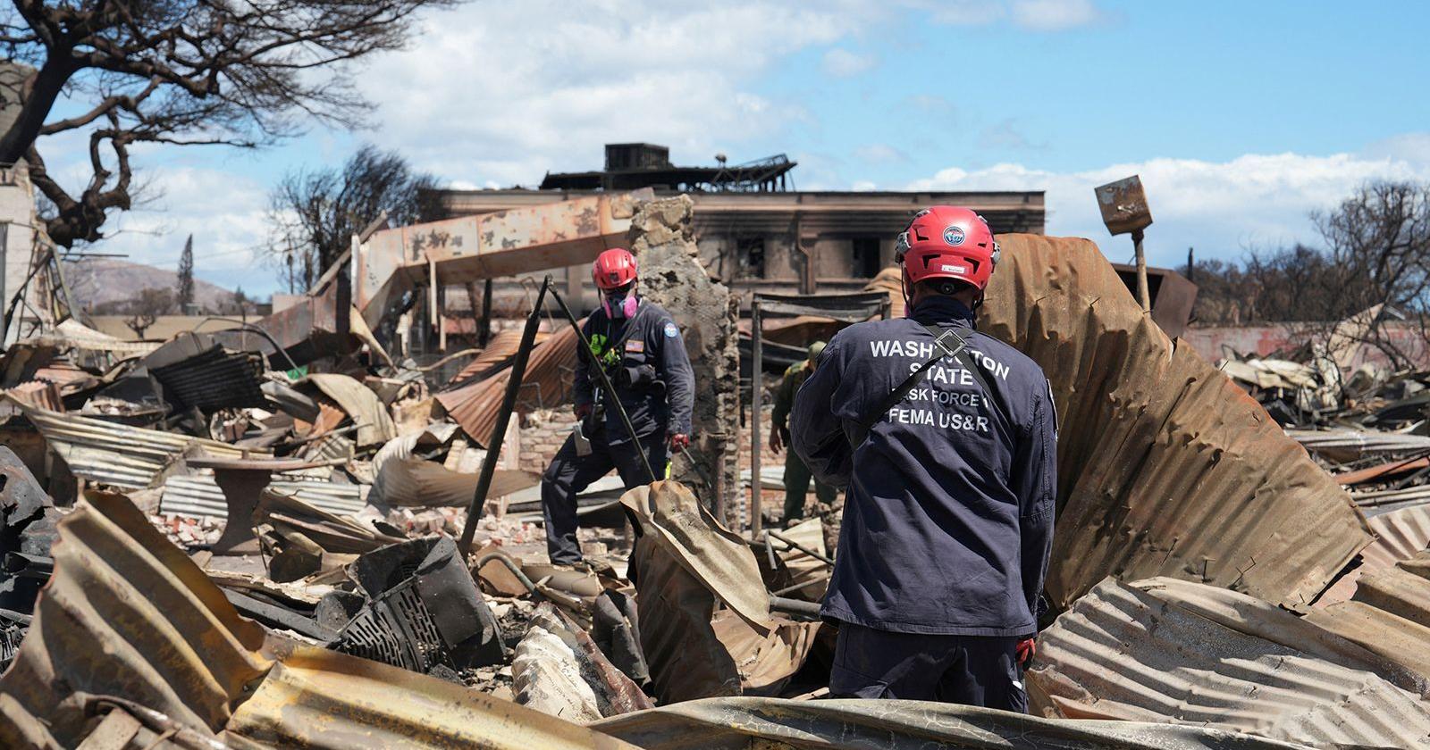 Only five of the 106 dead in Maui have been identified because the remains are unrecognizable, Hawaii's governor says | News - Vimarsana News