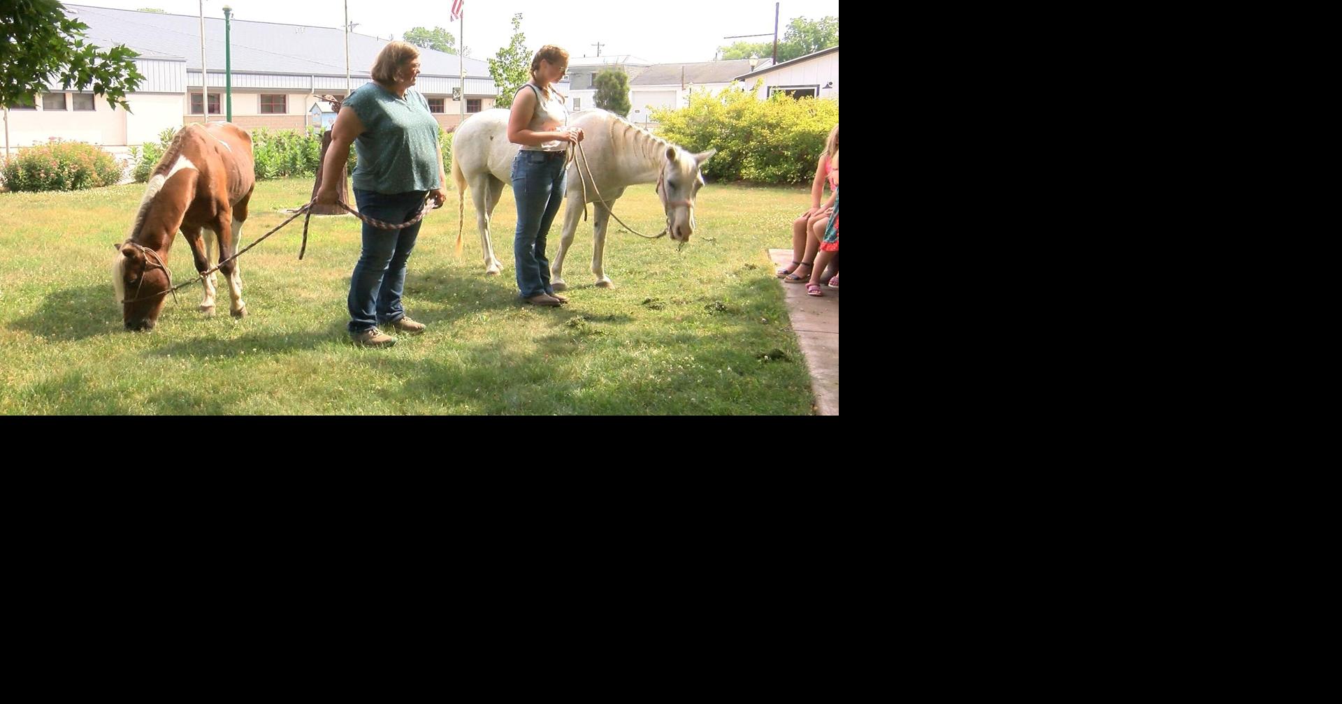 The Houston Public Library gets a special visit from two ponies | News ...