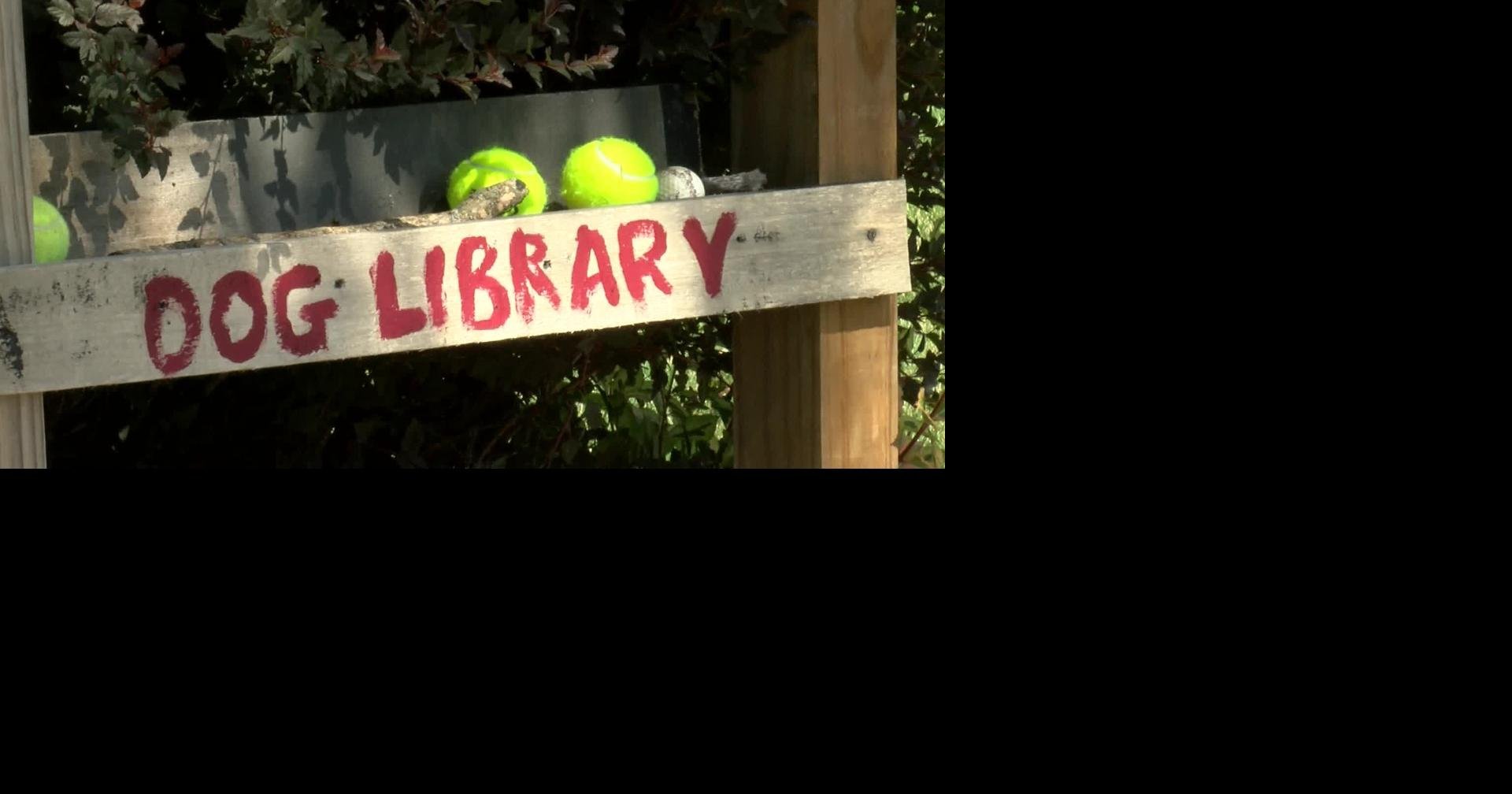 The Dog Library: Local author honors beloved pet with community project