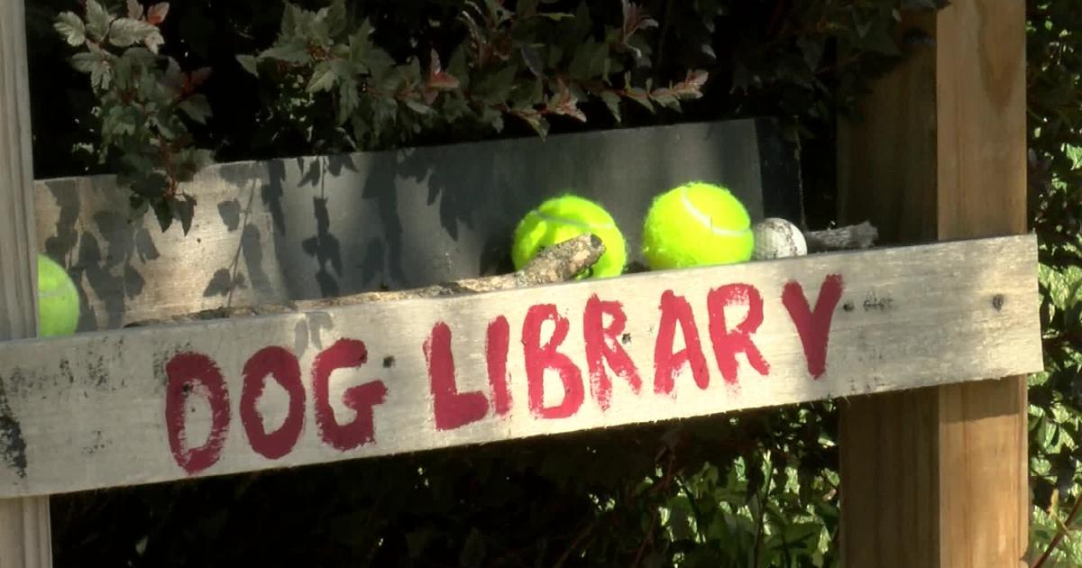 The Dog Library: Local author honors beloved pet with community project
