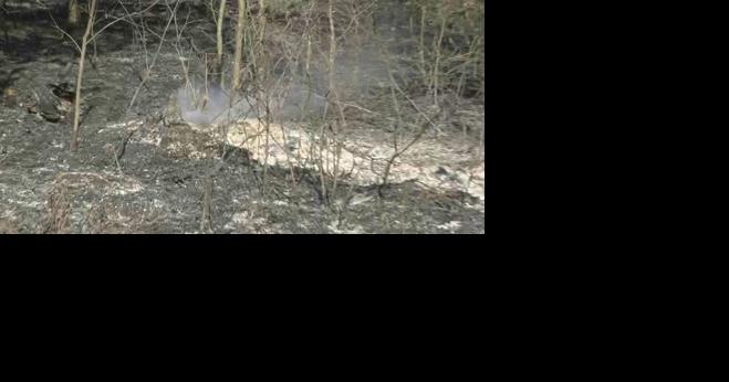 Burn ban still in effect in Vernon County - Vimarsana News