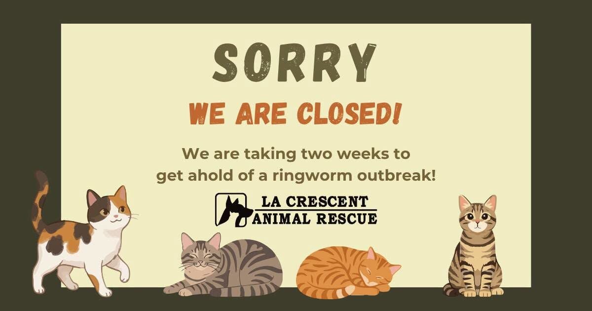 La Crescent Animal Rescue closed for ringworm outbreak