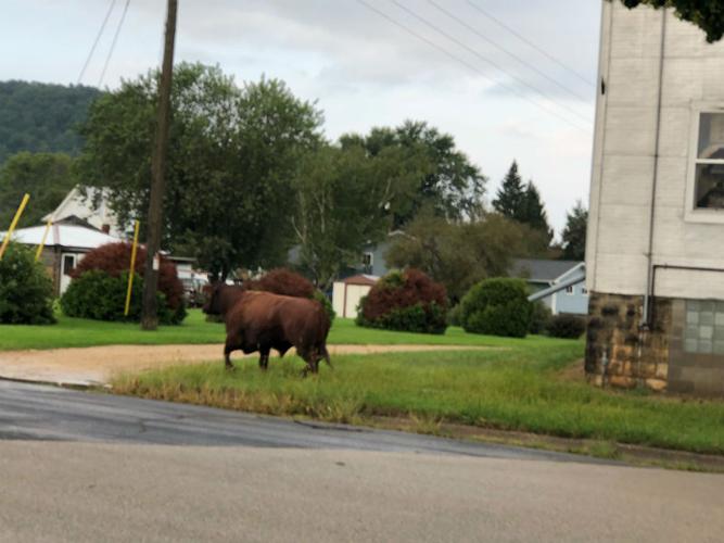 Coon Creek Canoe Race to raise money for flood victims News
