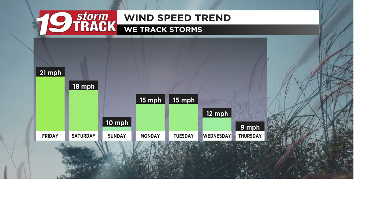 A windy Friday with light rain possible in the afternoon and evening ...