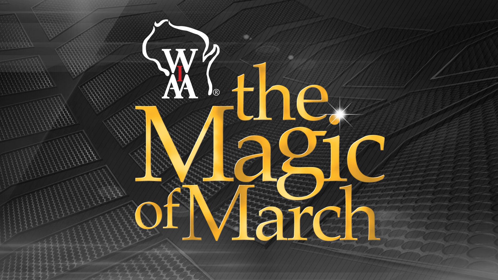 WIAA 2022 Boys State Basketball Tournament Brackets announced ...