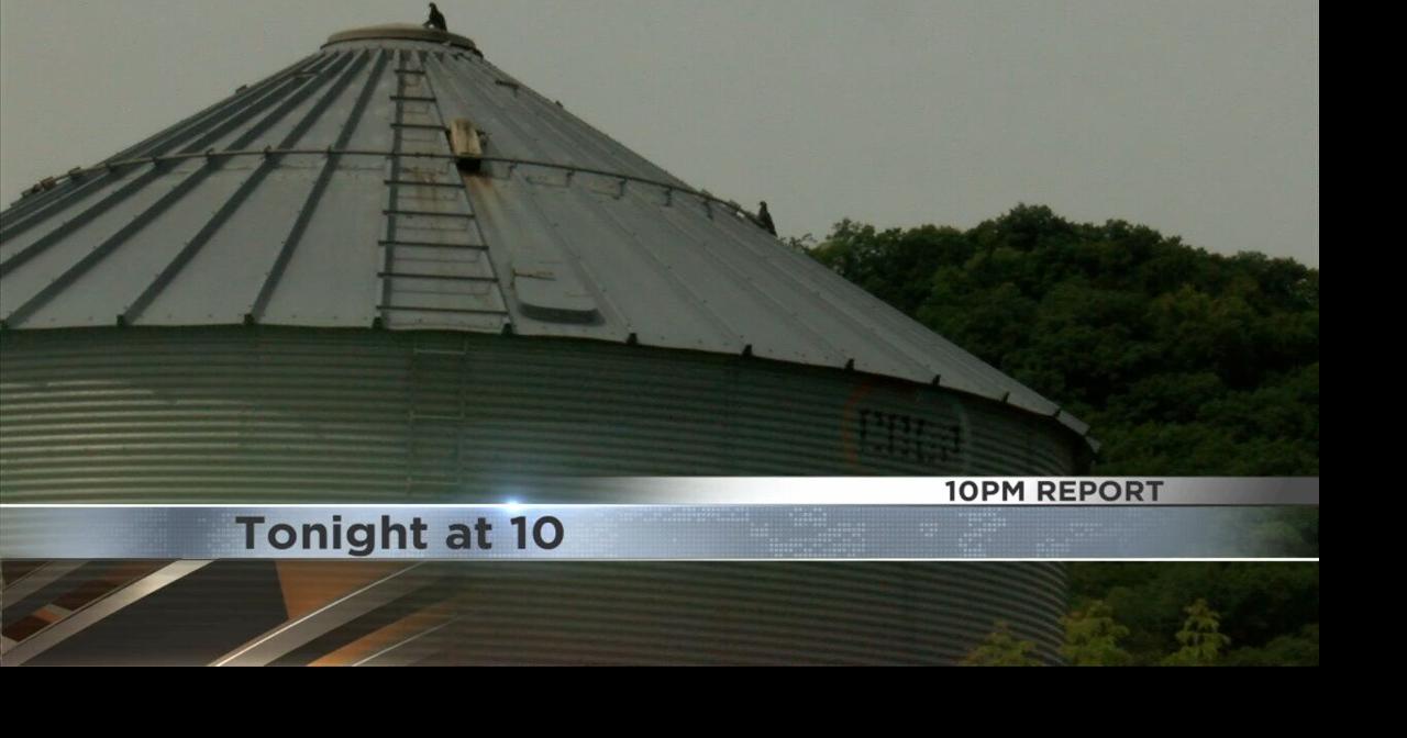 Silo and grain bin accidents on the rise Video