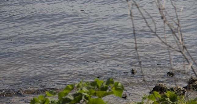 Search for missing kayaker continues in Winneshiek County - Vimarsana News