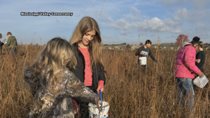 Registration Opens for Prairie Seed Collection Event