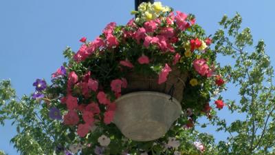 Flower baskets beautify the City of Onalaska