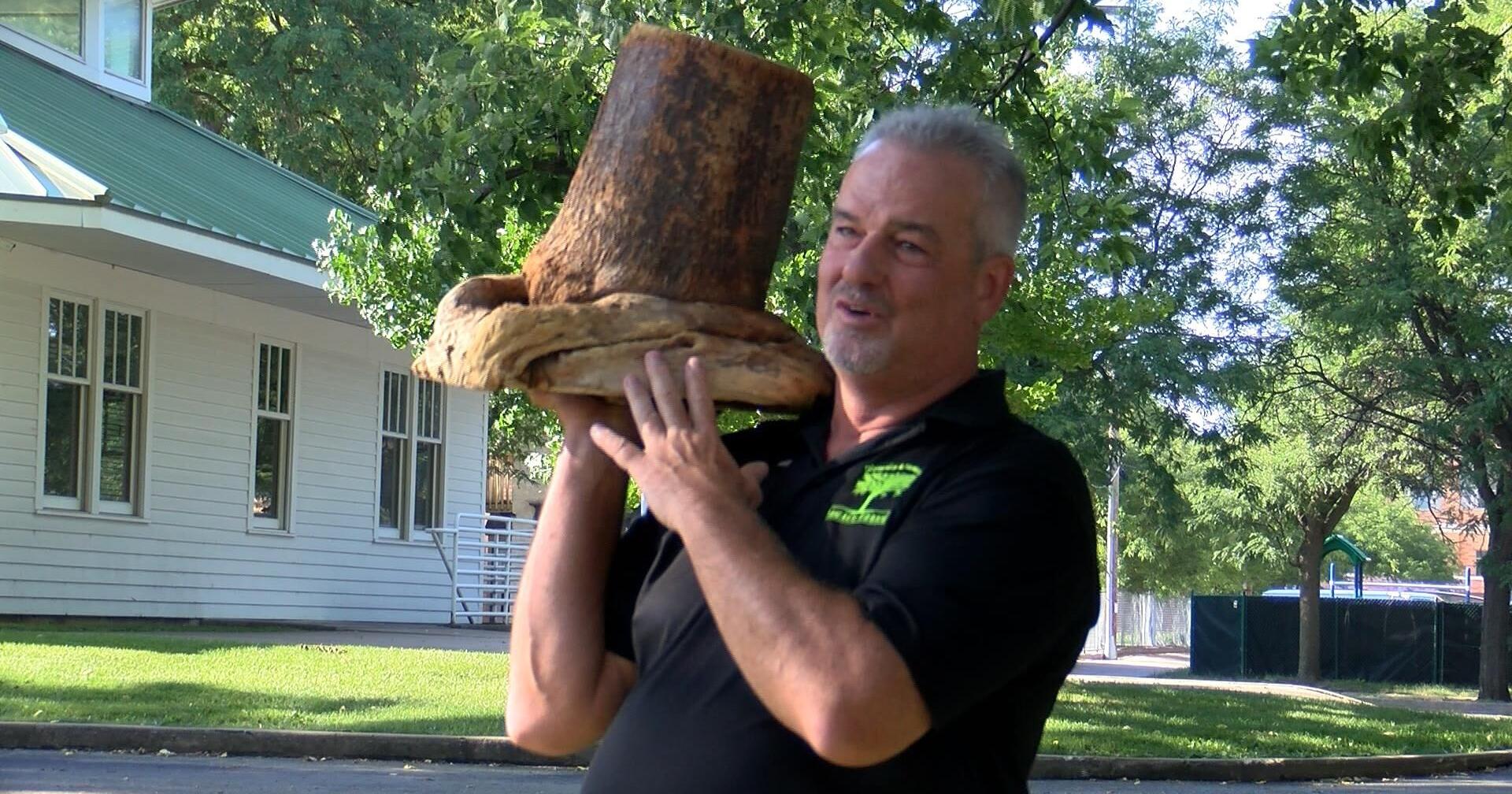 New trees are coming to downtown La Crosse - Vimarsana News