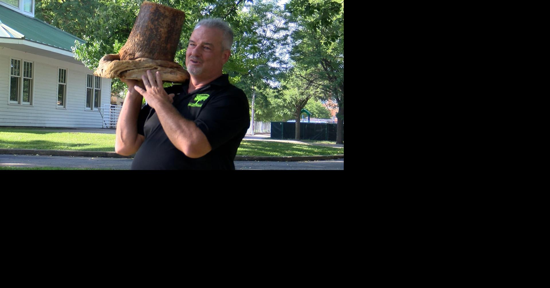 New trees are coming to downtown La Crosse News