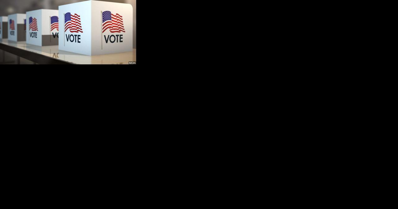 Primary elections next month a small preview of big spring contests - Vimarsana News