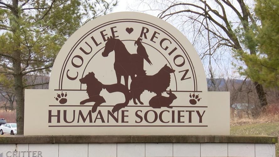 Humane society la crosse wisconsin kaiser permanente std test results