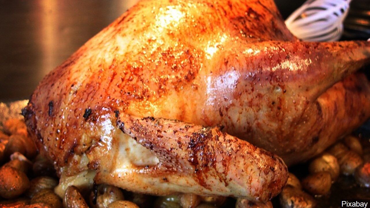 How to cook a turkey, according to Butterball | News | wxow.com