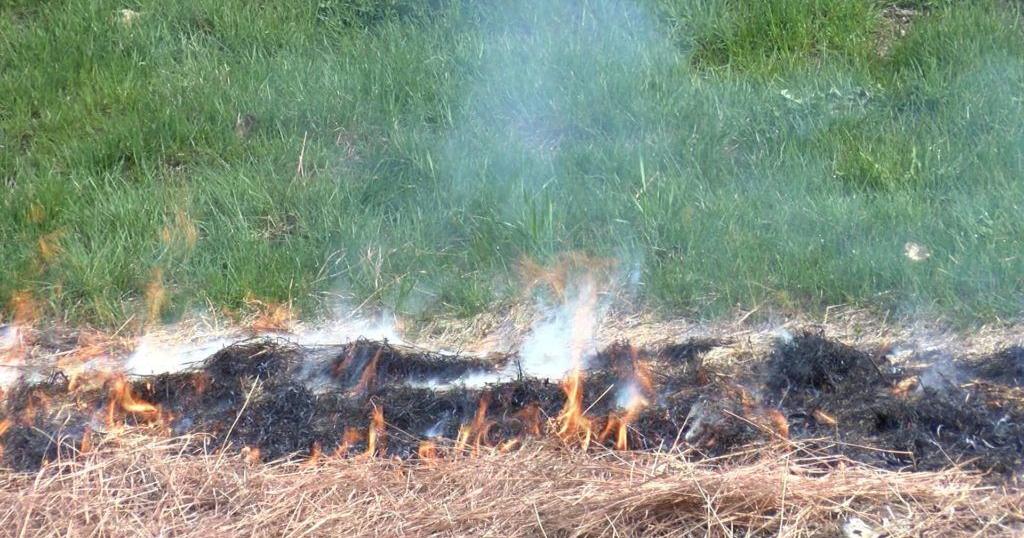 January grass fires lead to Vernon Co. recommendation against outdoor ...