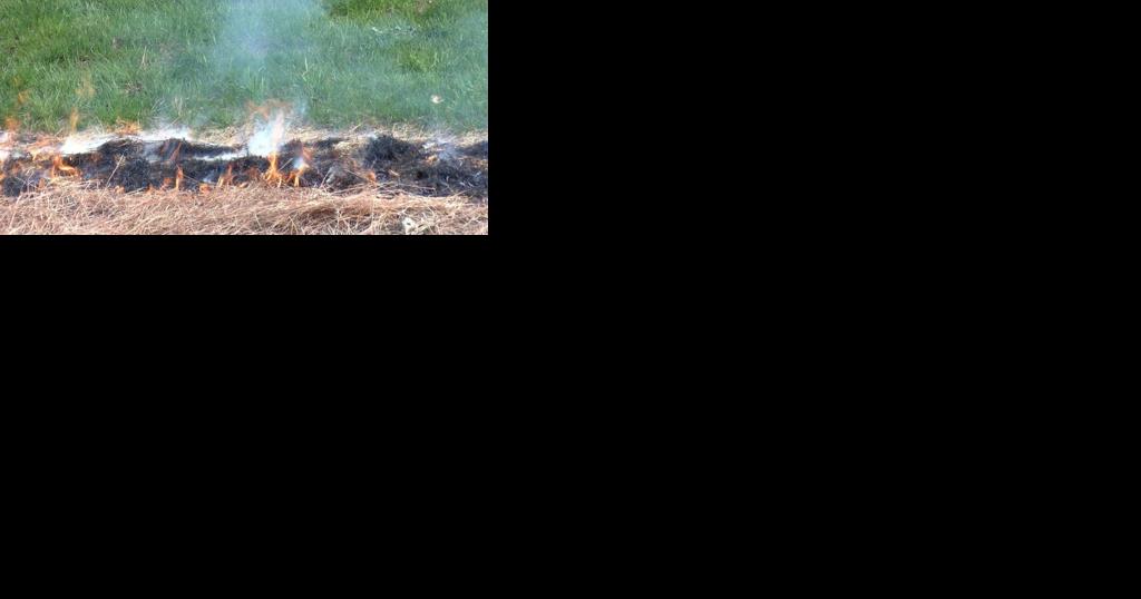 Area burn bans in effect due to dry conditions - Vimarsana News