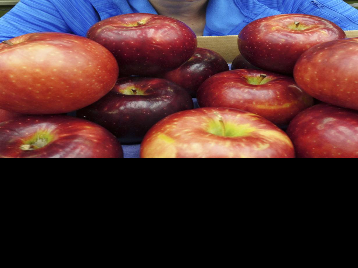 Washington S New Apple Joining A Changing Industry Local