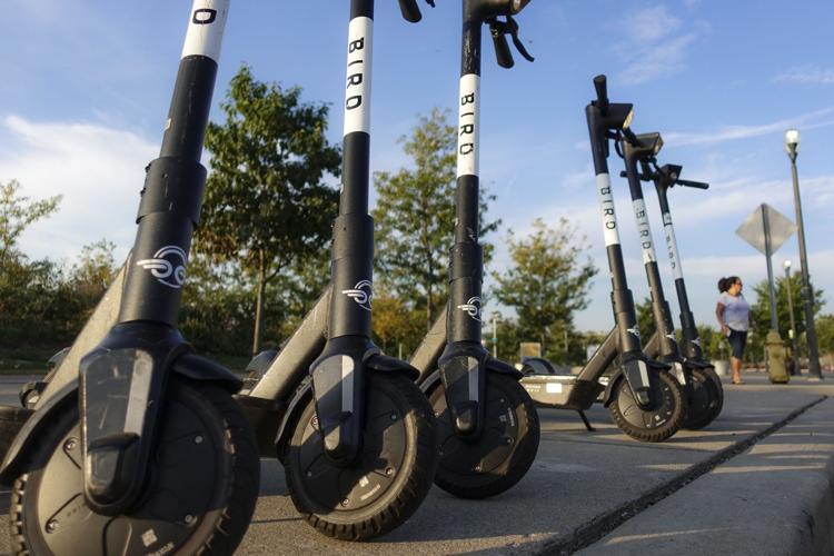 Bird Electric Scooters