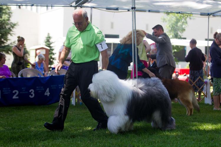 Photos Yakima Valley Kennel Club Dog Show News Photos