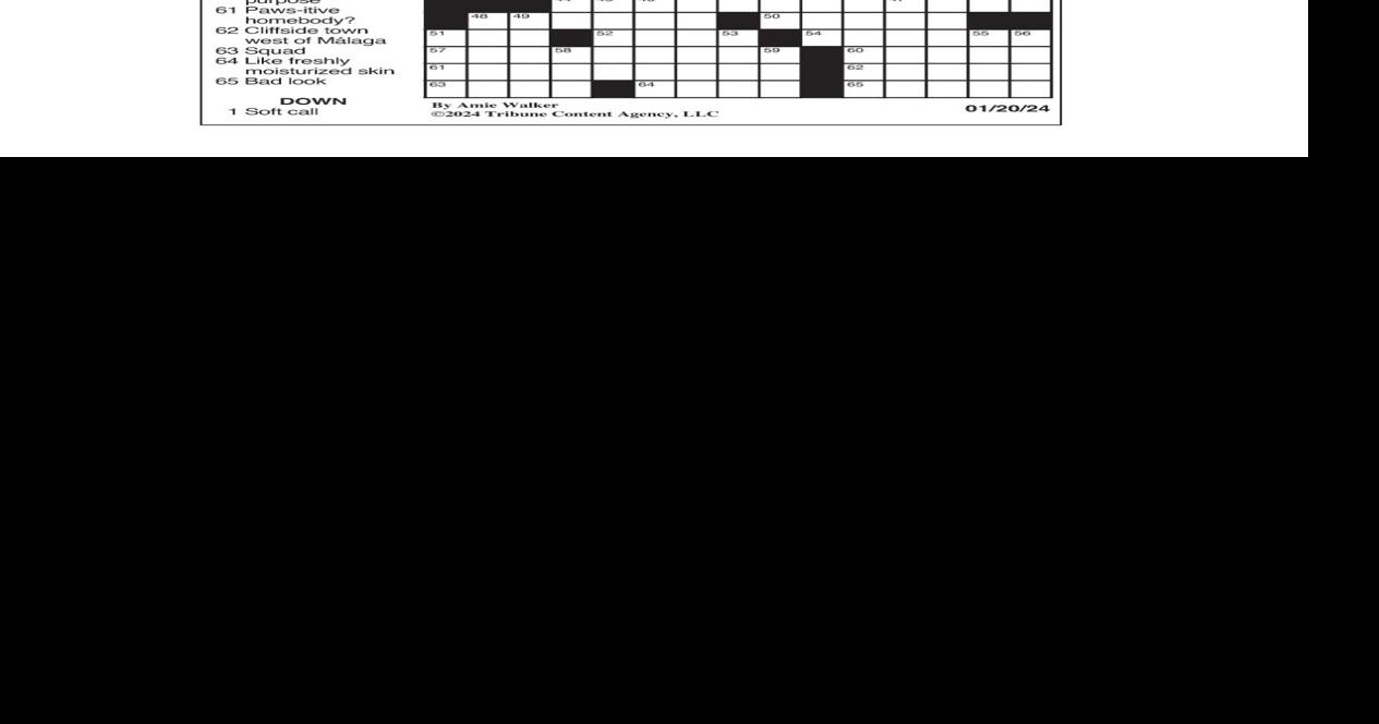 LA Times Crossword Jan. 20, 2024 Crosswords