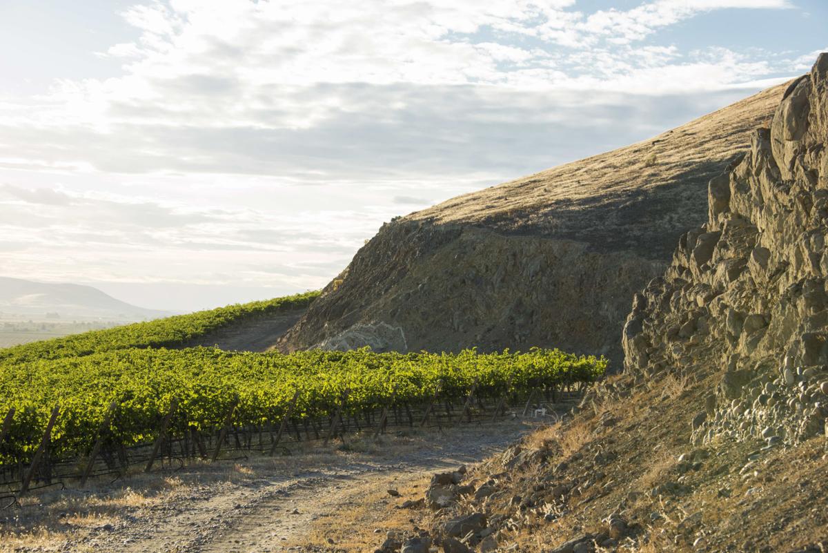 Wine Scene The fascinating story of Yakima Valley wine Scene